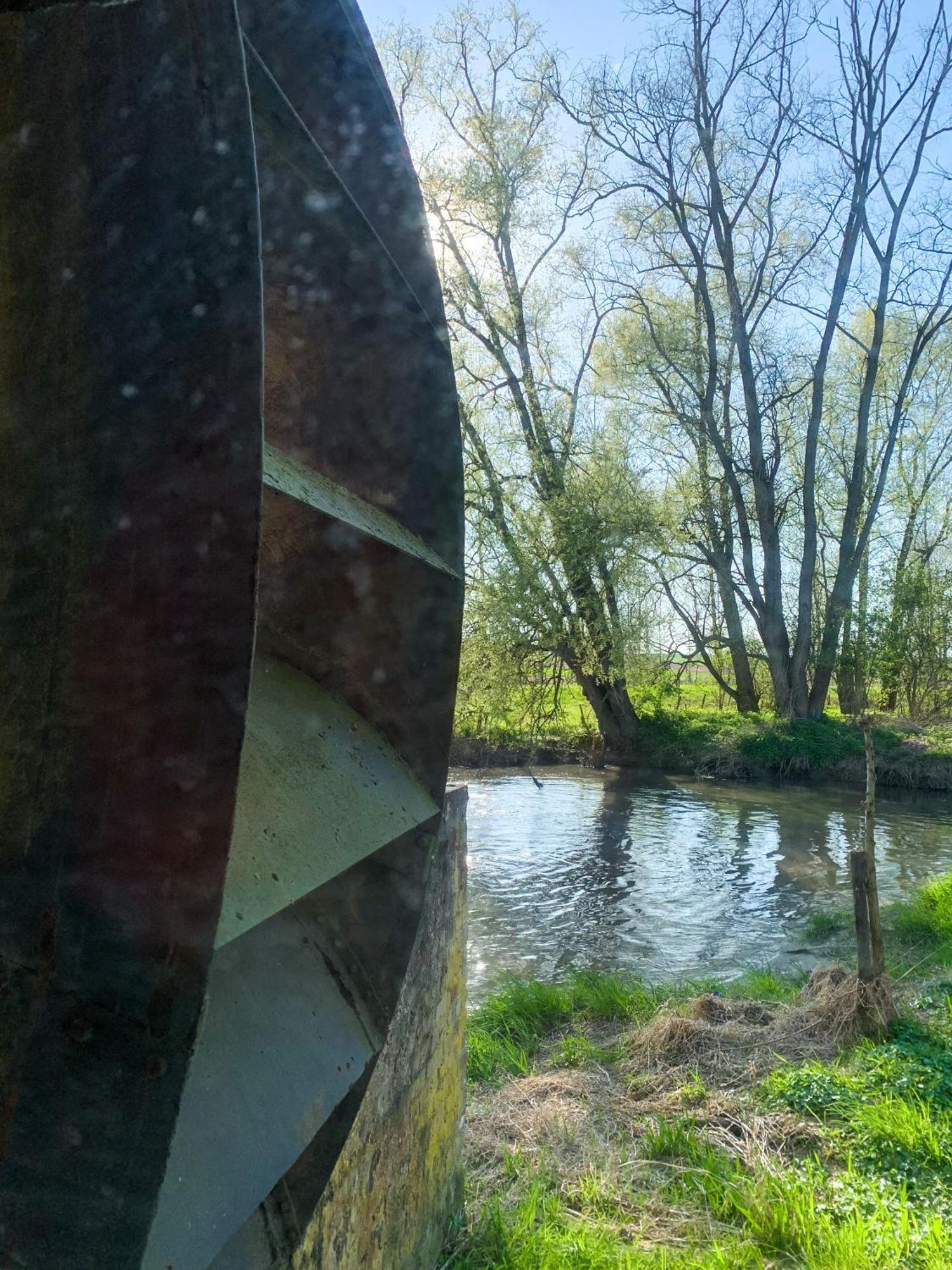 De Ruttermolen Panzió Tongeren Kültér fotó